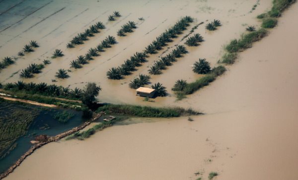 صورة مصغّرة